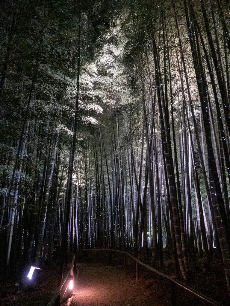 Kyoto - Kodai-ji by night