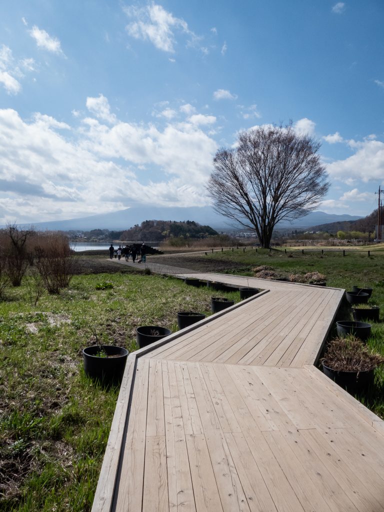 Chemin aménagé pour faire le tour du lac Kawaguchi