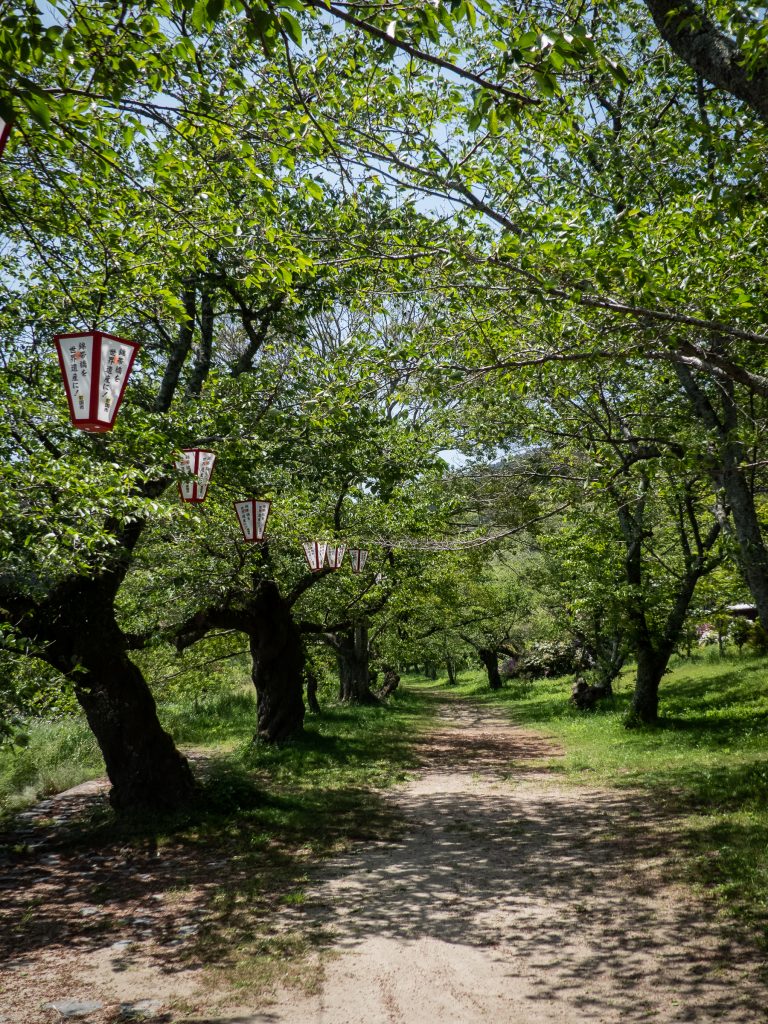 Bord de rivière à Iwakuni