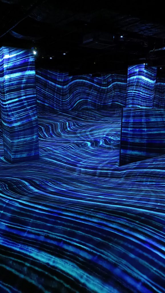 TeamLab Forest Fukuoka