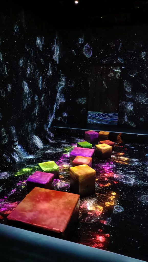 TeamLab Forest Fukuoka