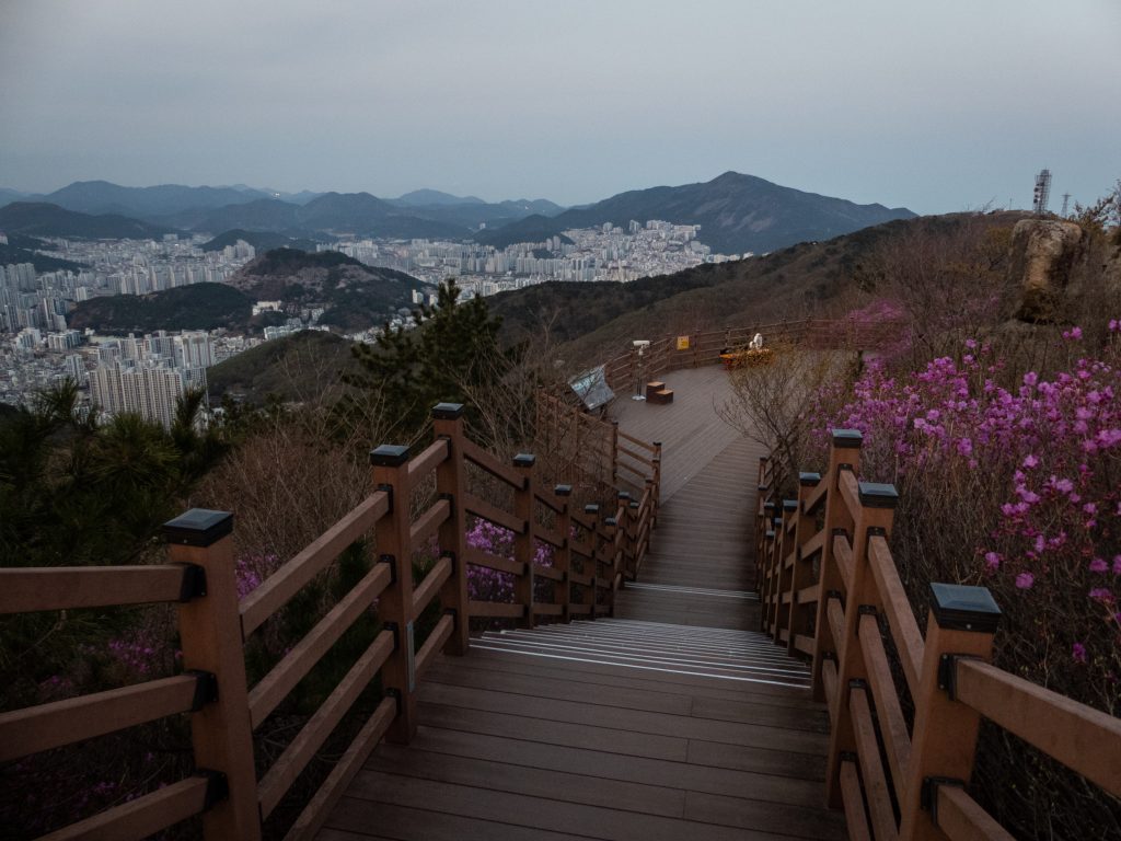 Hwangnyeong mountain observatory - Busan