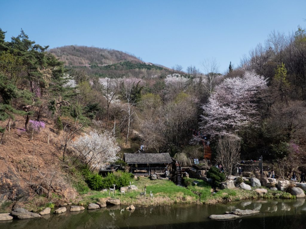 Café Pokpo à Séoul face à Ansan