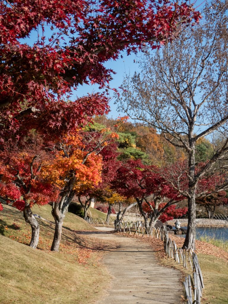 Couleurs d'automne au Parc commémoratif de Aichi