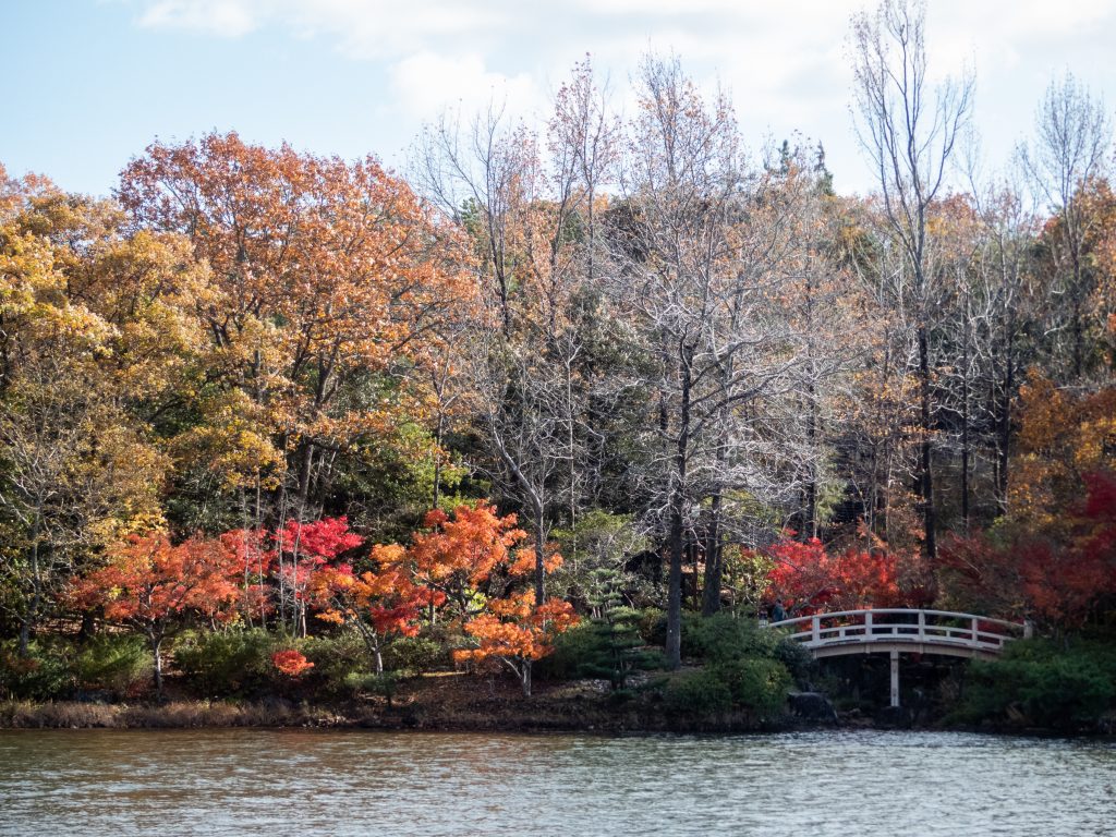 Couleurs d'automne au Parc commémoratif de Aichi