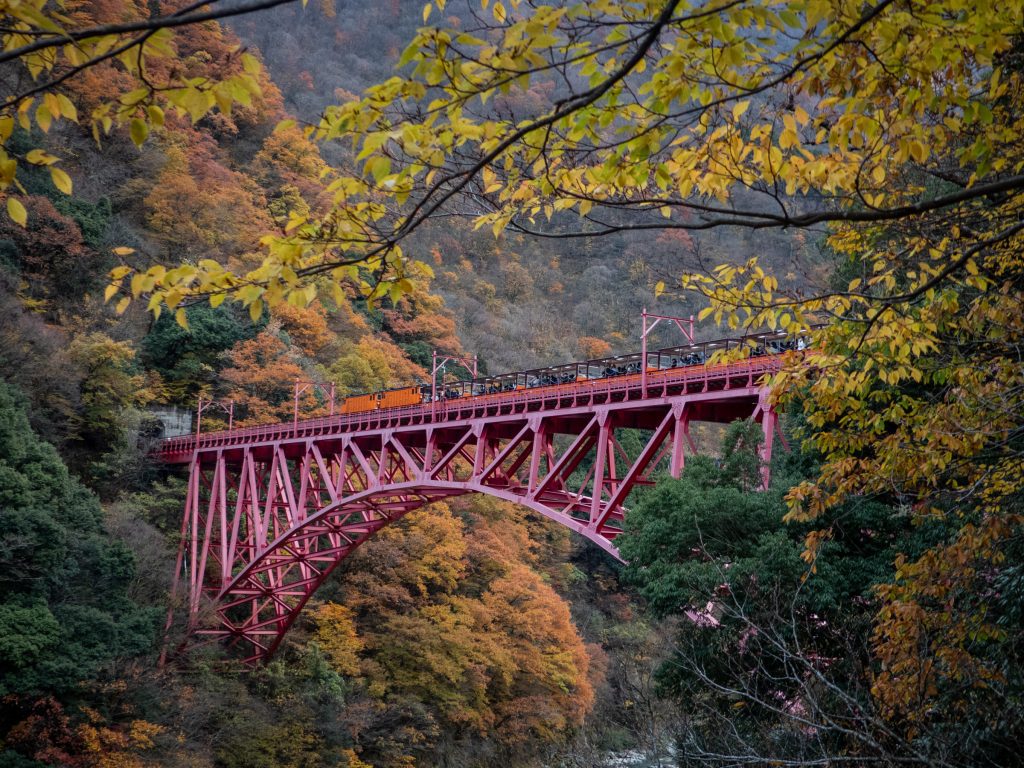 Les gorge de Kurobe