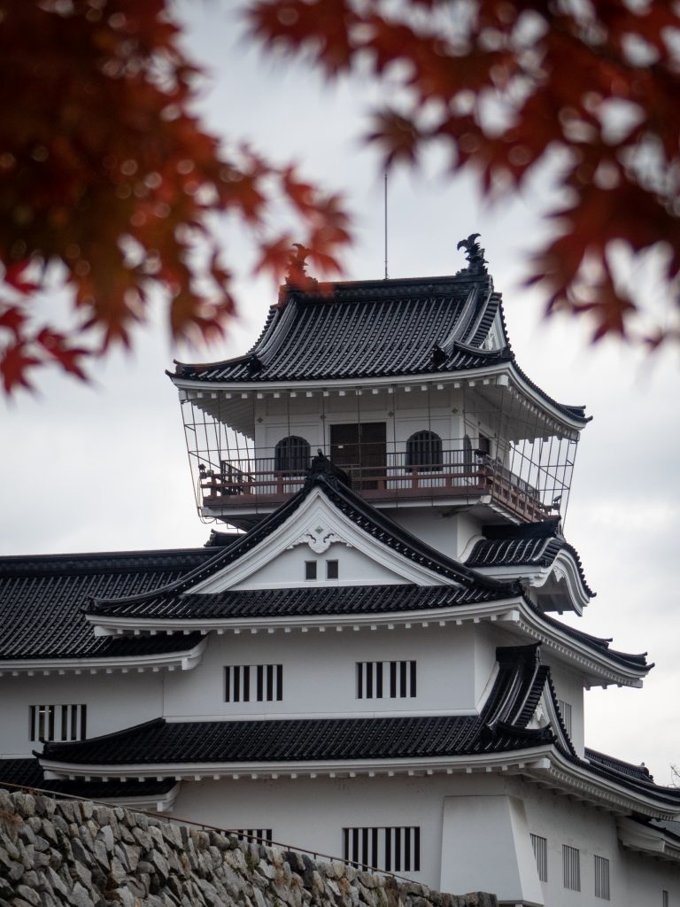 Le château de Toyama dans les érables du Japon