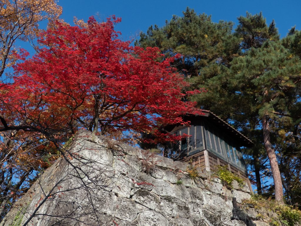 Château de Tsuragu - Aizuwakamatsu