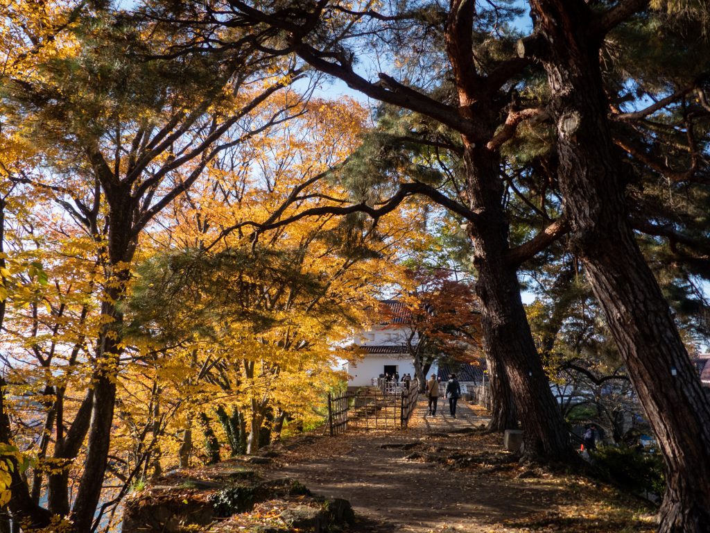 Château de Tsuragu - Aizuwakamatsu