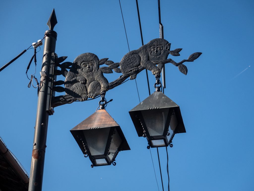 Les singes de Nagano