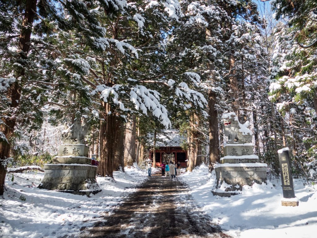 Allée des cèdres, sanctuaire Togakushi - Nagano