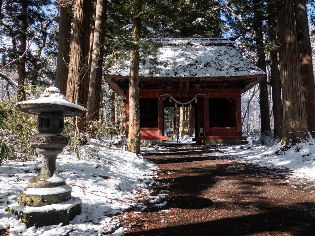 Allée des cèdres, sanctuaire Togakushi - Nagano