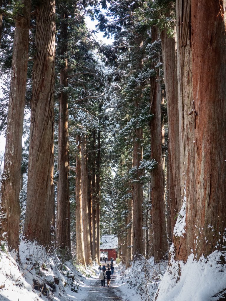 Allée des cèdres, sanctuaire Togakushi - Nagano