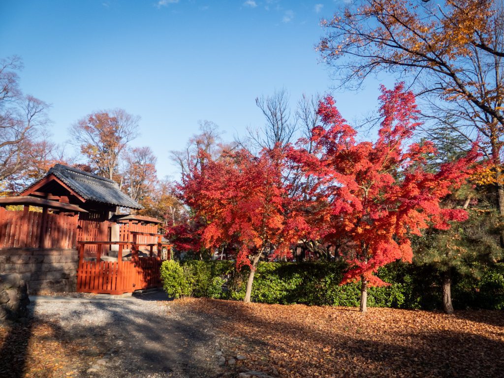 Zenkoji - Nagano - Automne
