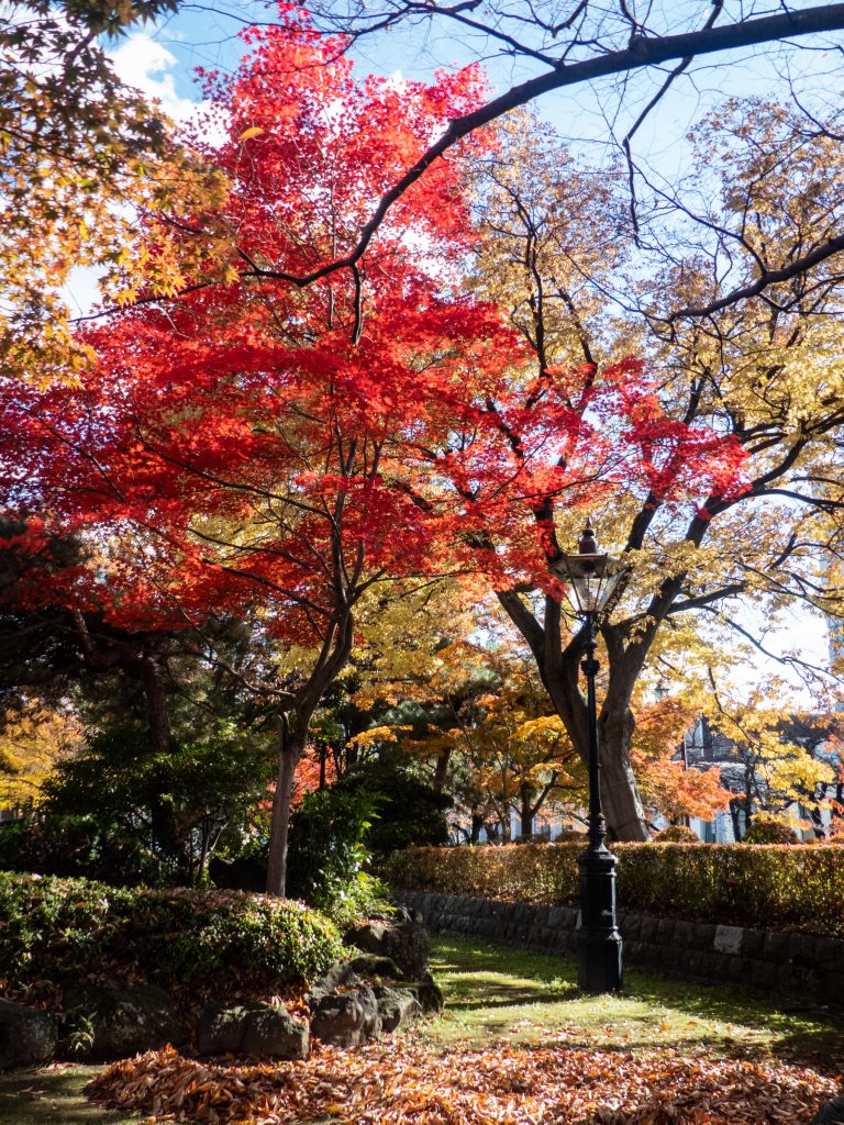 Les belles couleurs de l'automne à Yamagata