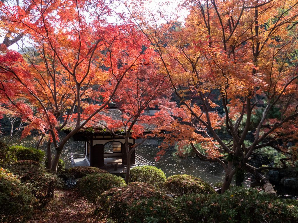 Le Momijidani Teien Garden