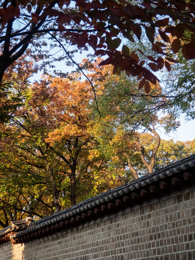 Mur le long du santuaire Jongmyo à Séoul