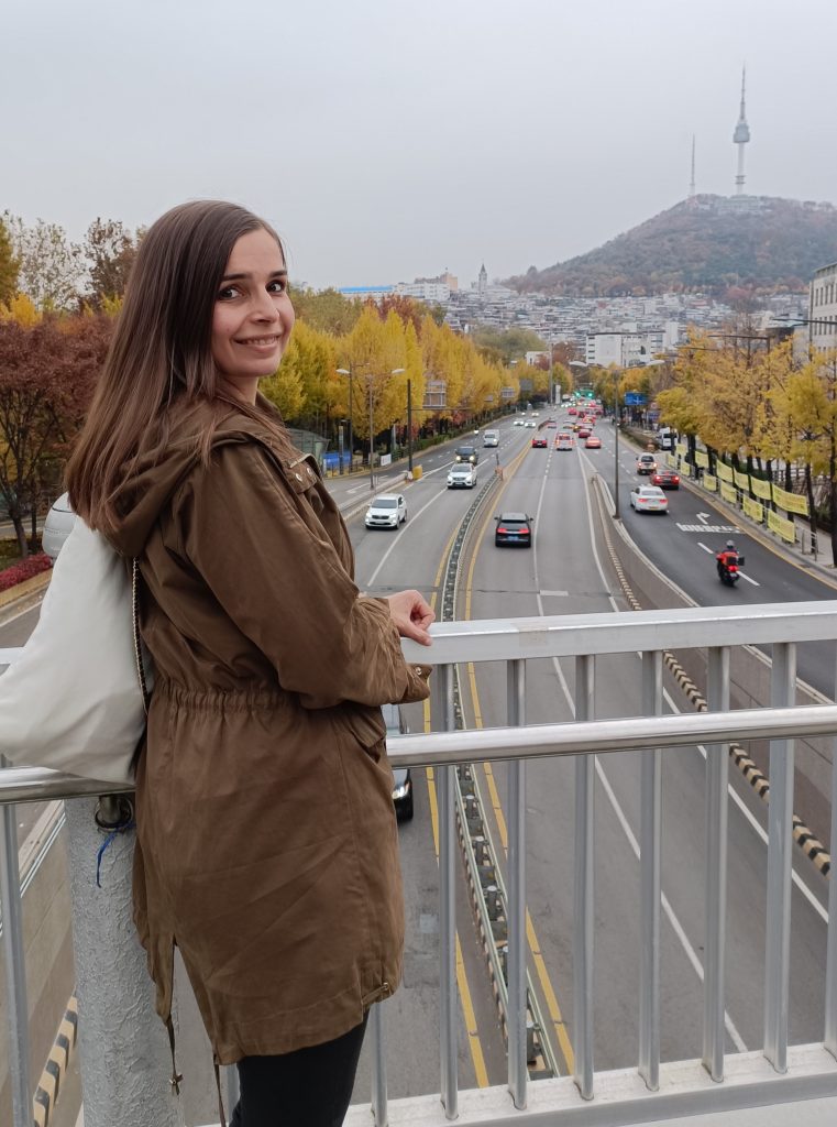 Sur la passerelle d'Iteawon, vue sur la N Seoul Tower