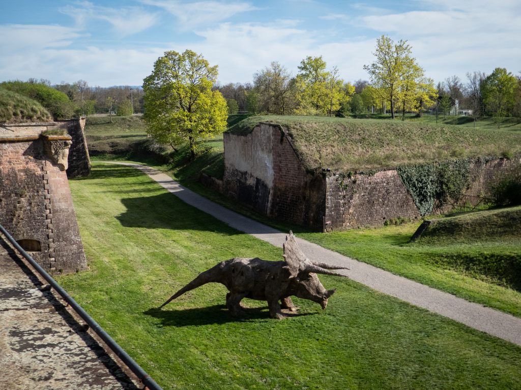 Neuf Brisach - cité VAUBAN
