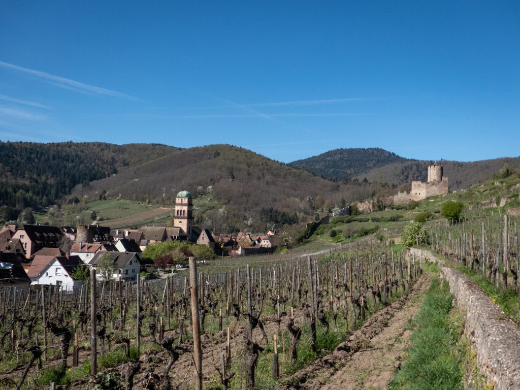 Kaysersberg et ses vignes