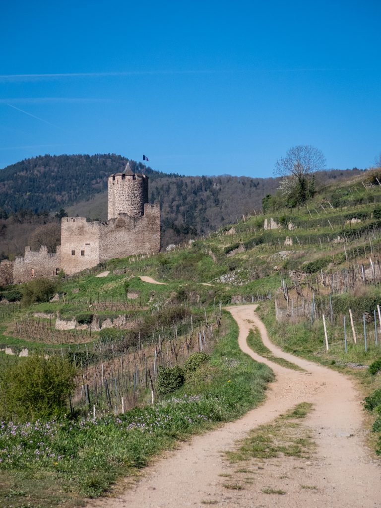 Kaysersberg, direction le château