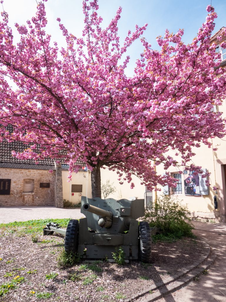  Musée Mémorial des Combats de la Poche de Colmar,