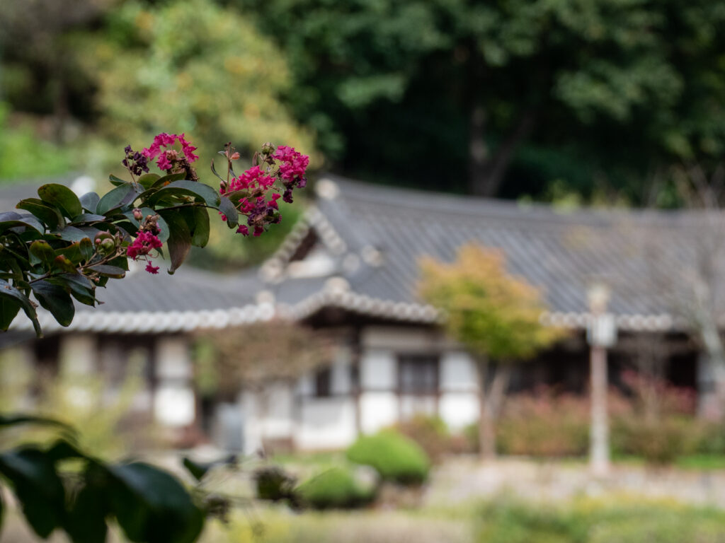 la Seongyojang House - Gangneung